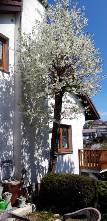 Haus Levi Apartment Neukirch  Ngoại thất bức ảnh